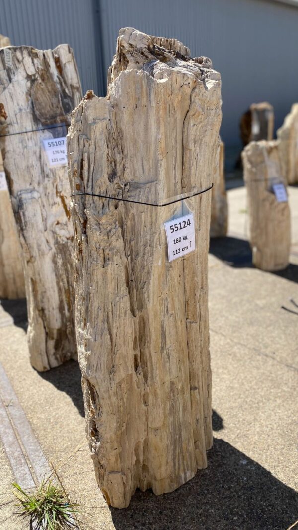 Memorial stone petrified wood 55124