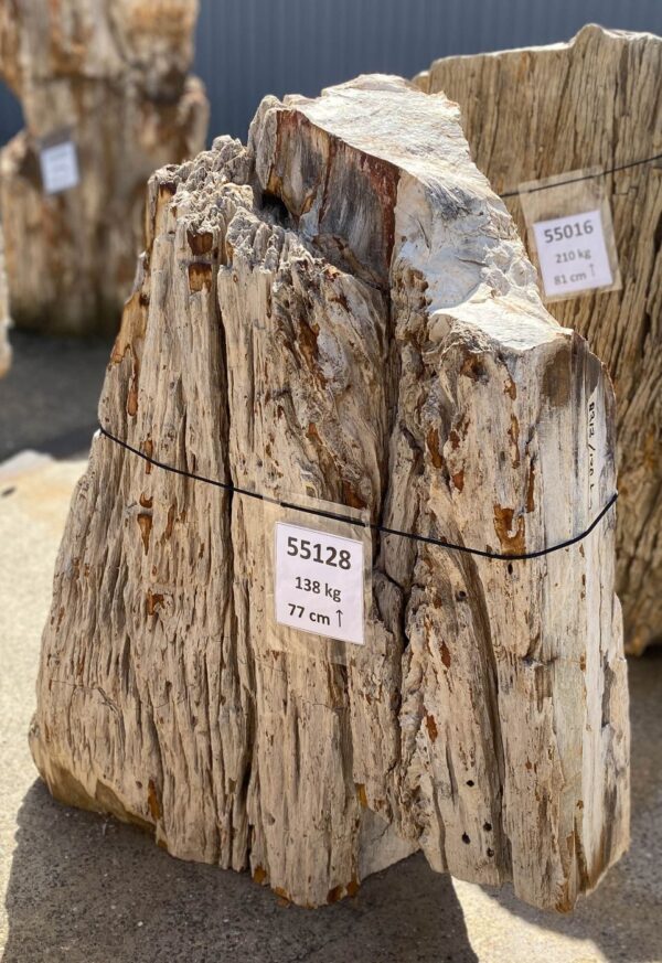 Memorial stone petrified wood 55128