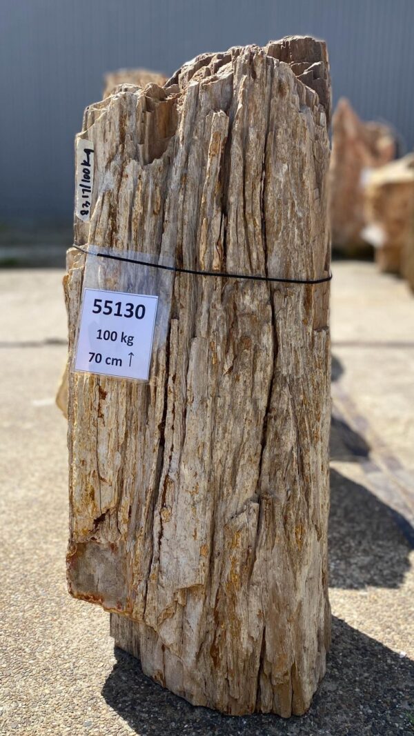 Memorial stone petrified wood 55130