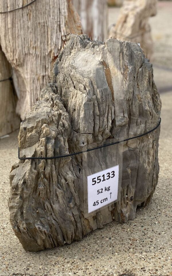 Memorial stone petrified wood 55133