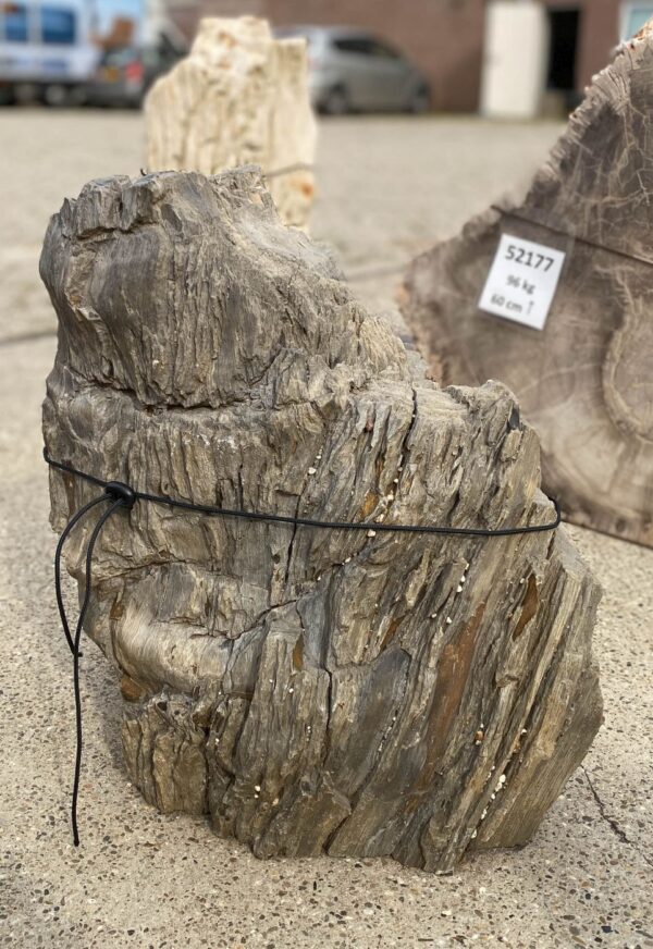 Memorial stone petrified wood 55133