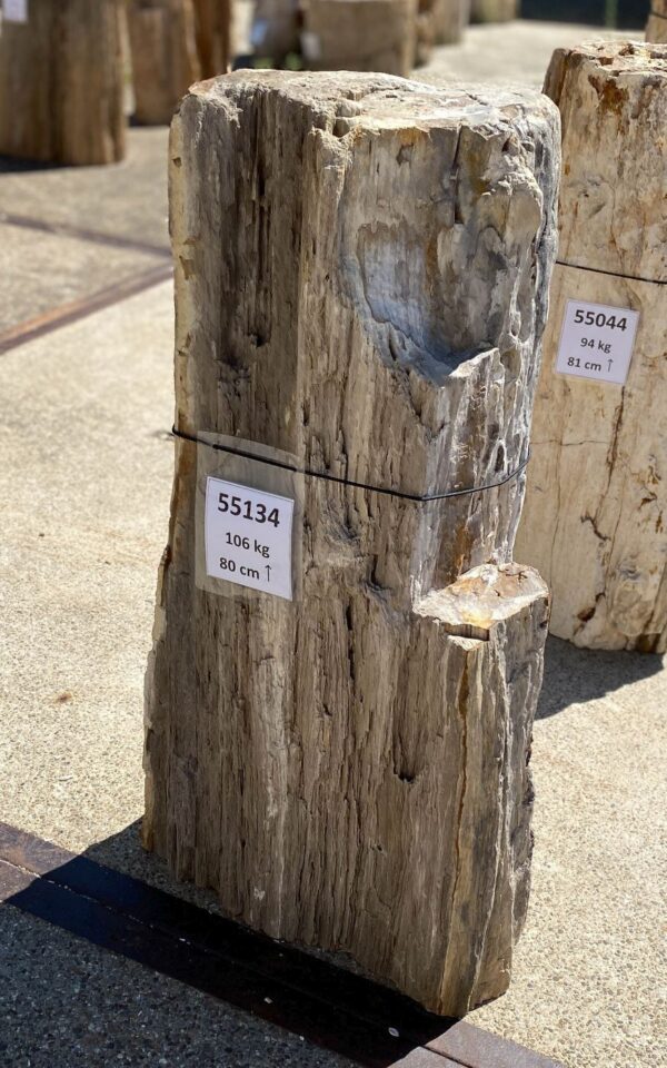 Memorial stone petrified wood 55134