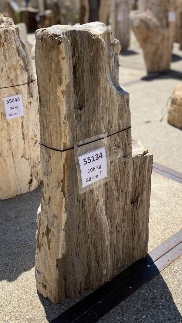 Memorial stone petrified wood 55134