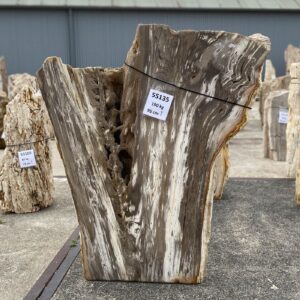 Memorial stone petrified wood 55135