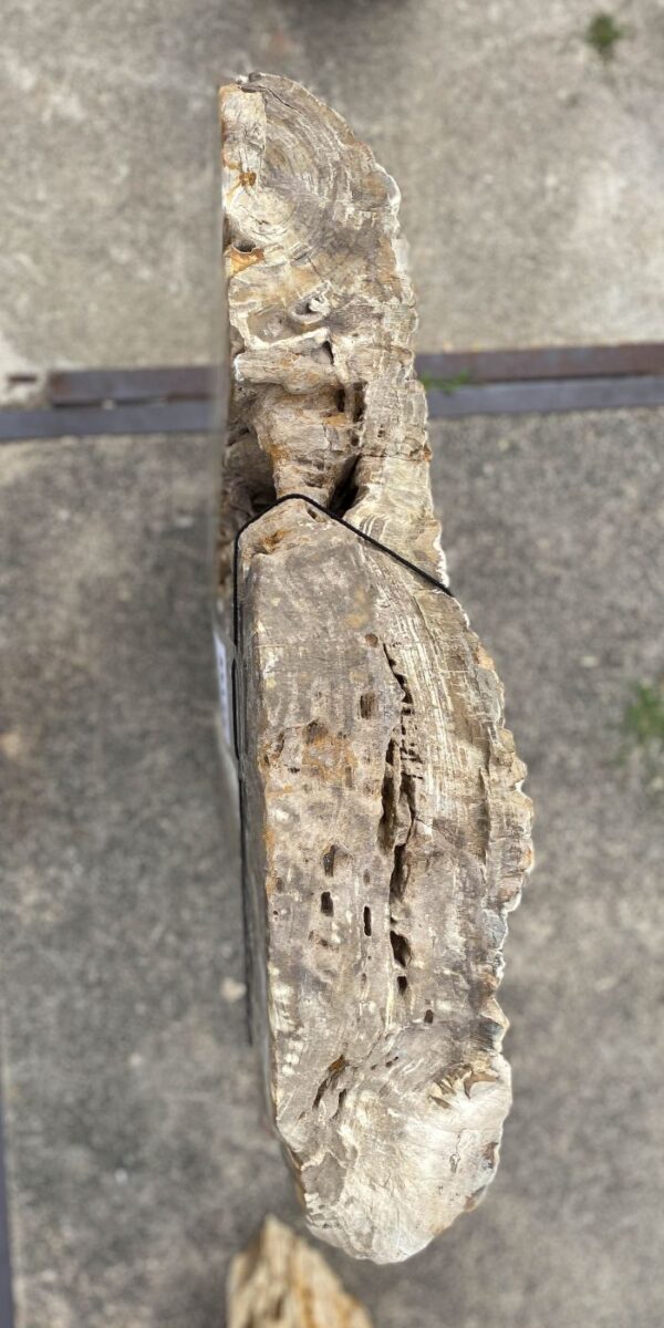 Memorial stone petrified wood 55135