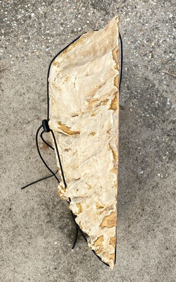 Memorial stone petrified wood 55139