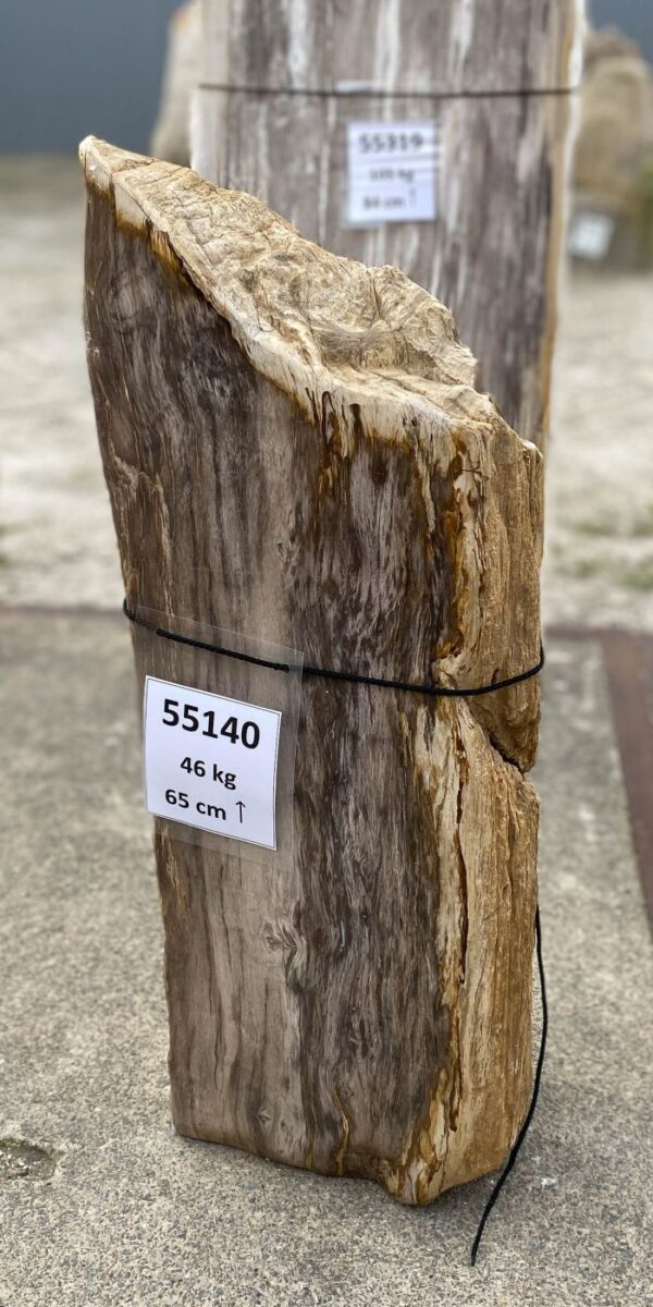 Memorial stone petrified wood 55140