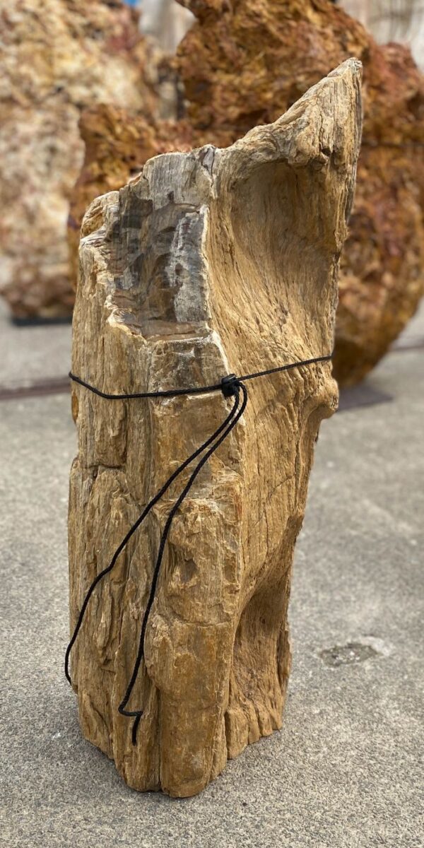 Memorial stone petrified wood 55140