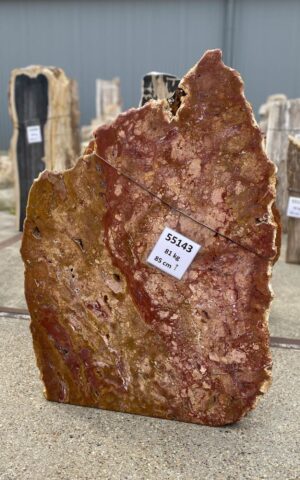 Memorial stone petrified wood 55143