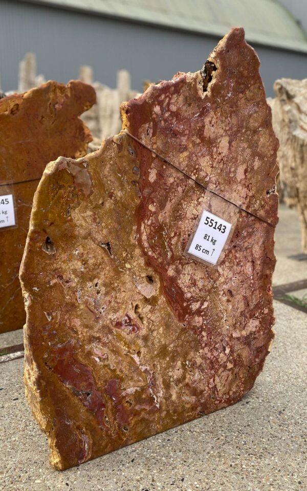 Memorial stone petrified wood 55143