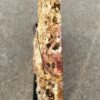 Memorial stone petrified wood 55143