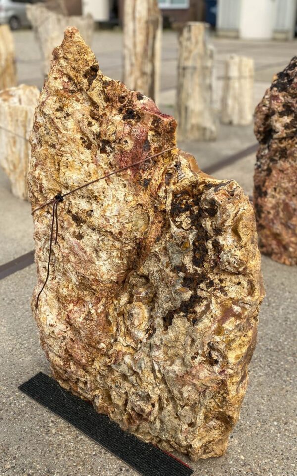 Memorial stone petrified wood 55143