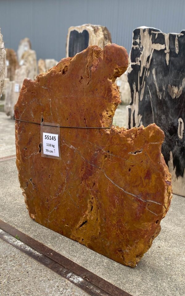 Memorial stone petrified wood 55145