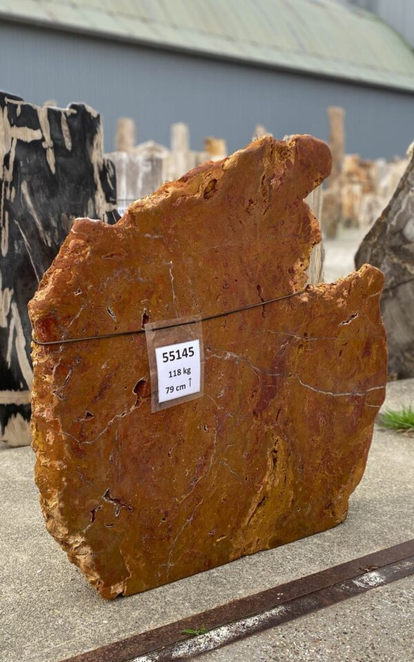 Memorial stone petrified wood 55145