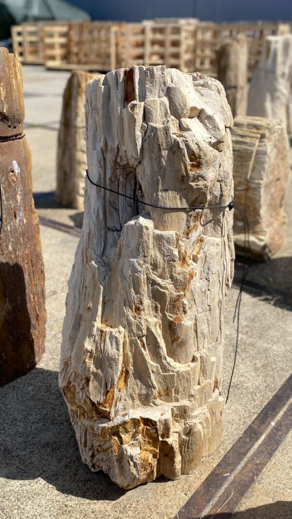 Memorial stone petrified wood 55310