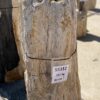 Memorial stone petrified wood 55312