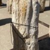 Memorial stone petrified wood 55312