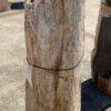 Memorial stone petrified wood 55312