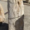 Memorial stone petrified wood 55312