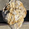 Memorial stone petrified wood 55312