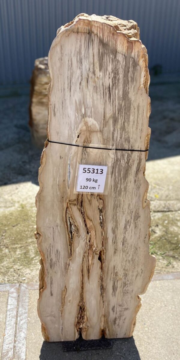 Memorial stone petrified wood 55313