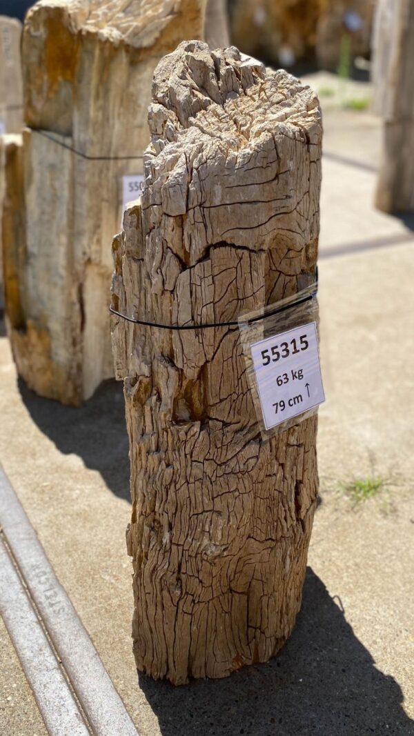 Memorial stone petrified wood 55315