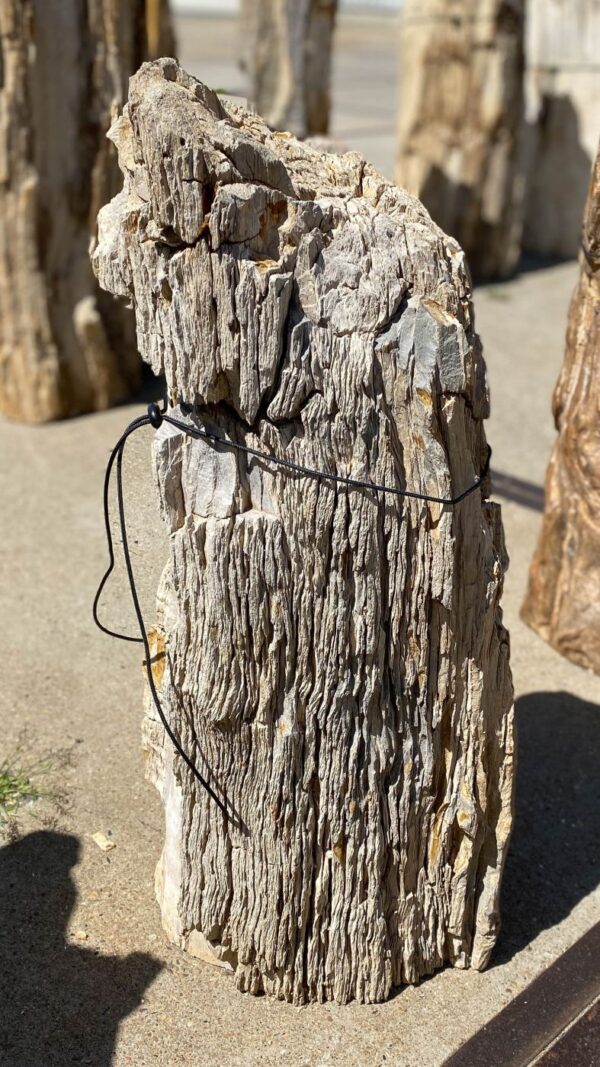 Memorial stone petrified wood 55315