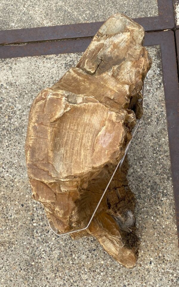 Memorial stone petrified wood 55320