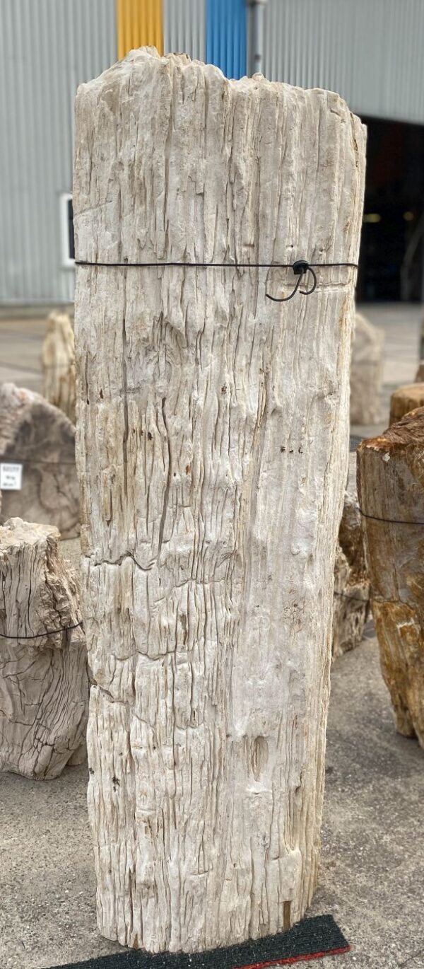 Memorial stone petrified wood 55322