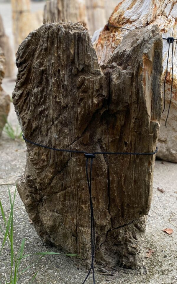 Memorial stone petrified wood 55323