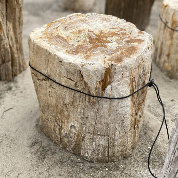 Memorial stone petrified wood 55326