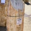 Pierre tombale bois pétrifié 54288