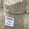 Pierre tombale bois pétrifié 55048