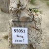 Pierre tombale bois pétrifié 55051