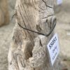 Pierre tombale bois pétrifié 55051