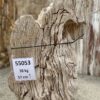 Pierre tombale bois pétrifié 55053