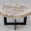 Salontafel versteend hout 55163