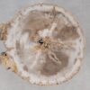Salontafel versteend hout 55167