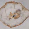 Salontafel versteend hout 55209