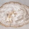 Salontafel versteend hout 55236