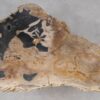 Salontafel versteend hout 55295