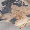 Salontafel versteend hout 55295