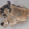 Salontafel versteend hout 55296