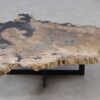 Salontafel versteend hout 55296