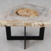 Salontafel versteend hout 55298