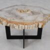 Table basse bois pétrifié 55211