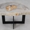 Table basse bois pétrifié 55219