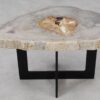 Table basse bois pétrifié 55222