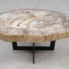 Table basse bois pétrifié 55234