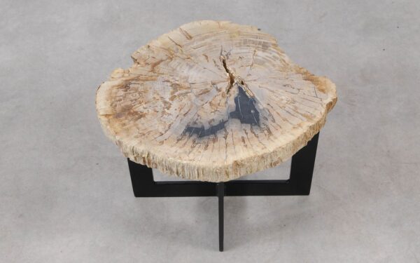 Table basse bois pétrifié 55307